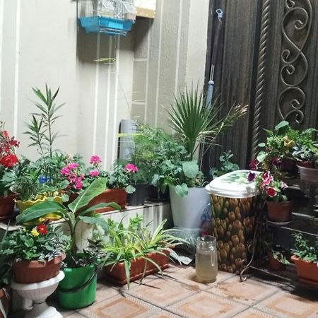 Hotel Guest House Golden Degrez บูคารา ภายนอก รูปภาพ