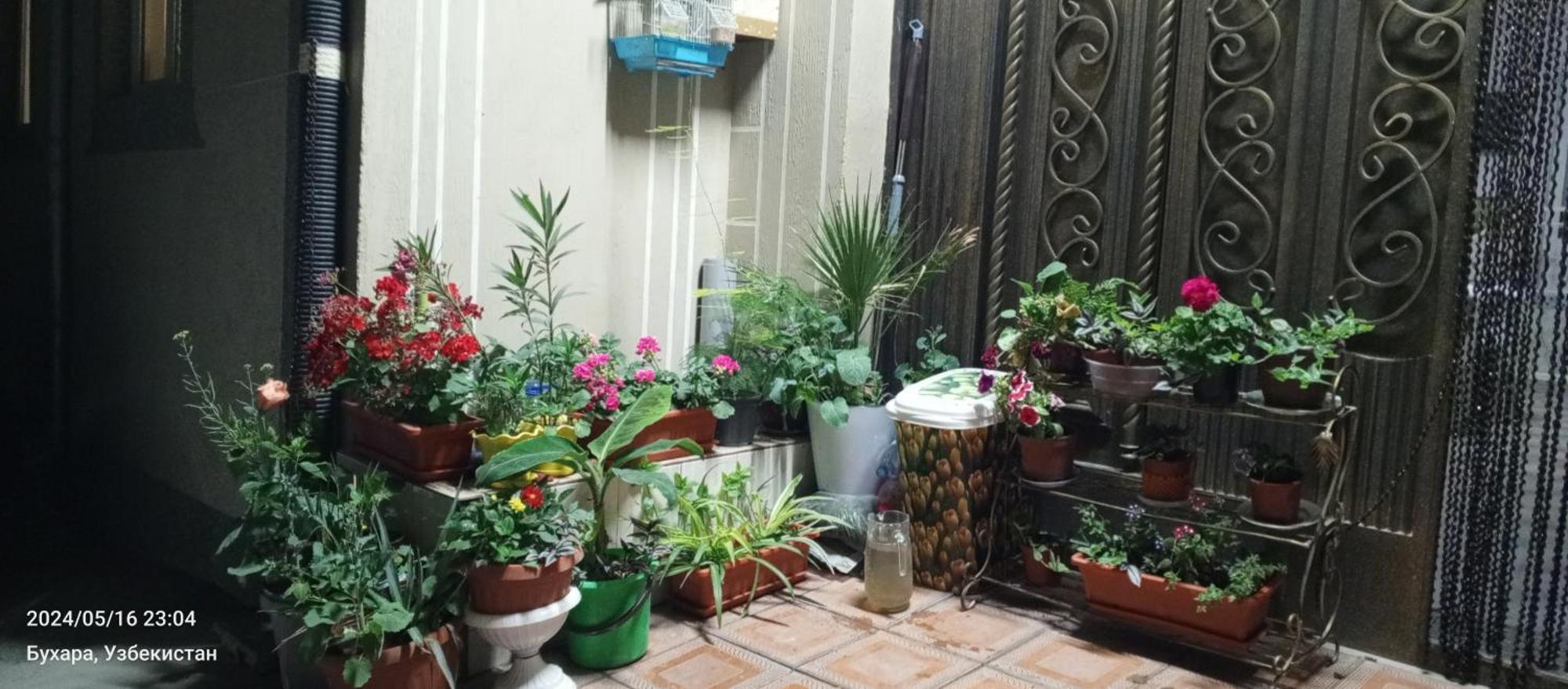 Hotel Guest House Golden Degrez บูคารา ภายนอก รูปภาพ